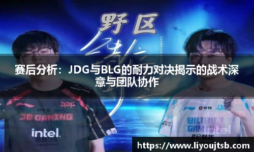 赛后分析：JDG与BLG的耐力对决揭示的战术深意与团队协作