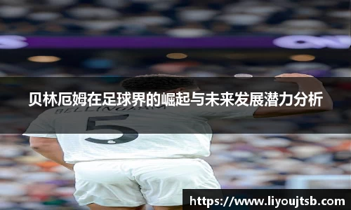 完美体育